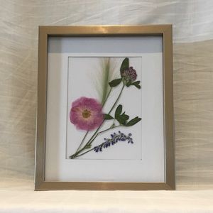 Pressed Natural Flowers Framed